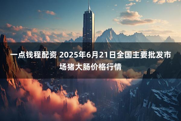 一点钱程配资 2025年6月21日全国主要批发市场猪大肠价格行情