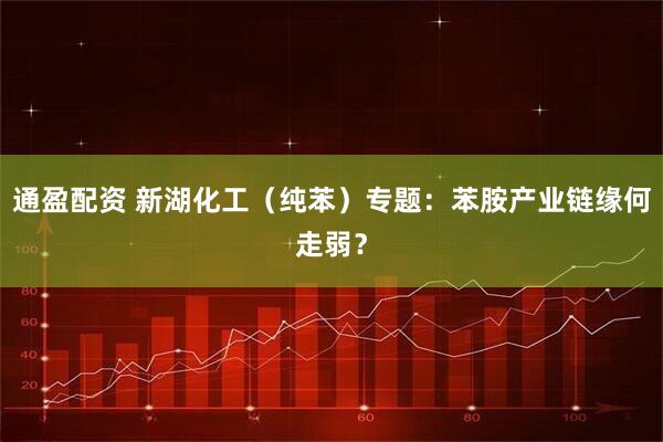 通盈配资 新湖化工（纯苯）专题：苯胺产业链缘何走弱？