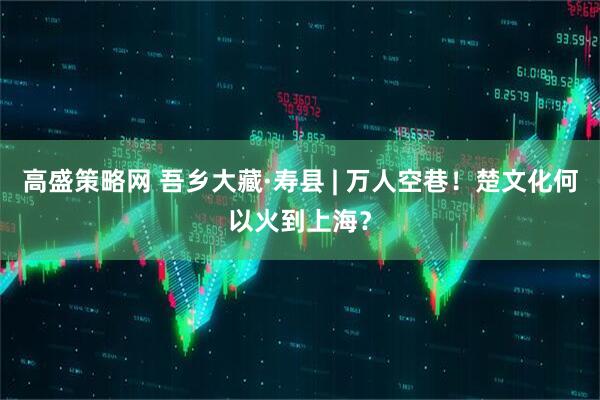 高盛策略网 吾乡大藏·寿县 | 万人空巷！楚文化何以火到上海？