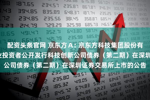 配资头条官网 京东方Ａ: 京东方科技集团股份有限公司2025年面向专业投资者公开发行科技创新公司债券（第二期）在深圳证券交易所上市的公告